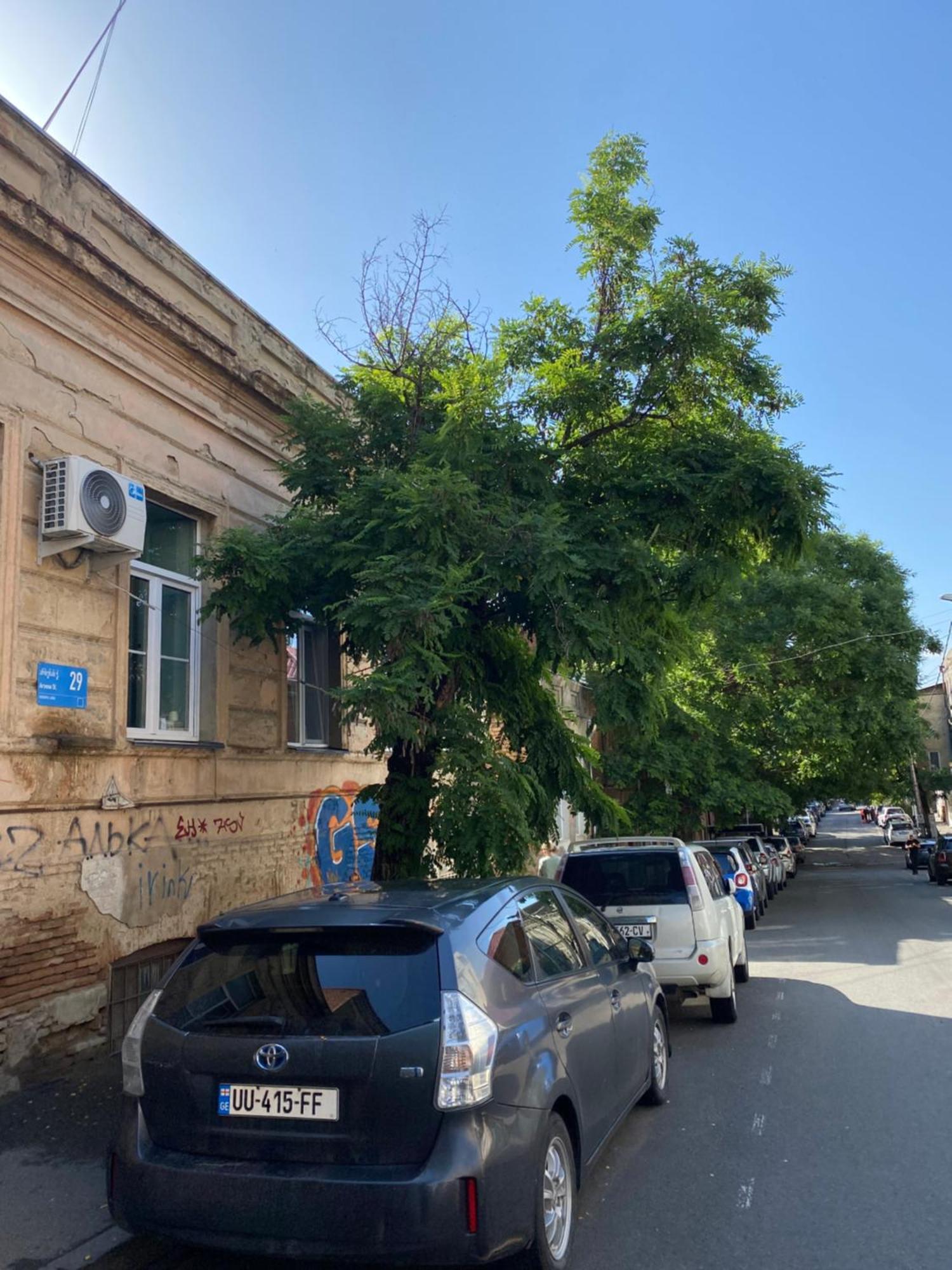 Old Tbilisi City Center, Two - Room Apartment Zewnętrze zdjęcie